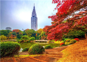Bật mí tháng đẹp nhất trong năm để du lịch Tokyo, Nhật Bản