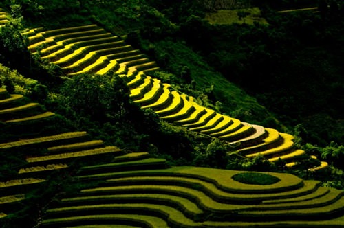 HÀ NỘI - LÀO CAI - SAPA - CHỢ TÌNH