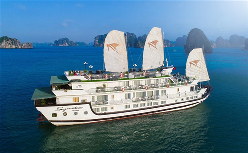 Khám phá Vịnh Bái Tử Long cùng Signature Halong Cruise