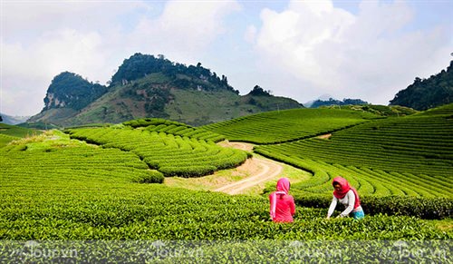 HÀ NỘI - MAI CHÂU – THUNG NAI – HÒA BÌNH