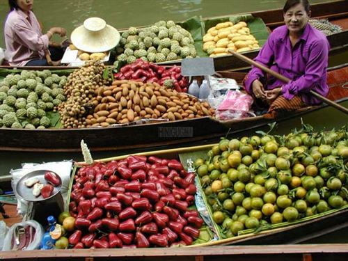 
Mỹ Tho -Thới Sơn - Bến Tre - Cần Thơ - Đà Lạt 

